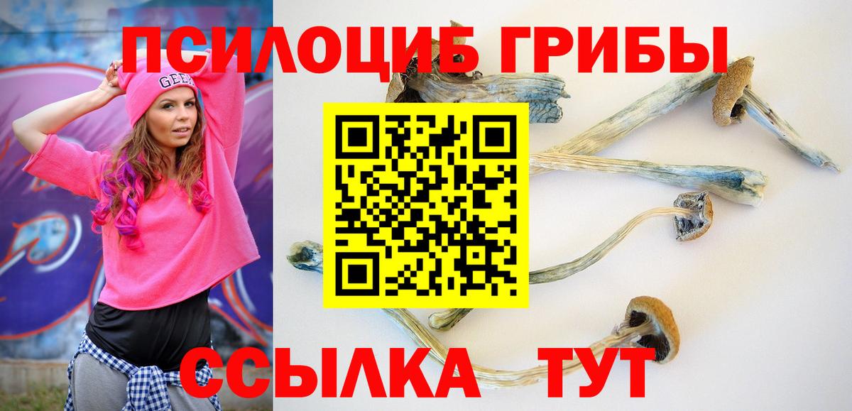 Псилоцибиновые грибы MAGIC MUSHROOMS Ачхой-Мартан