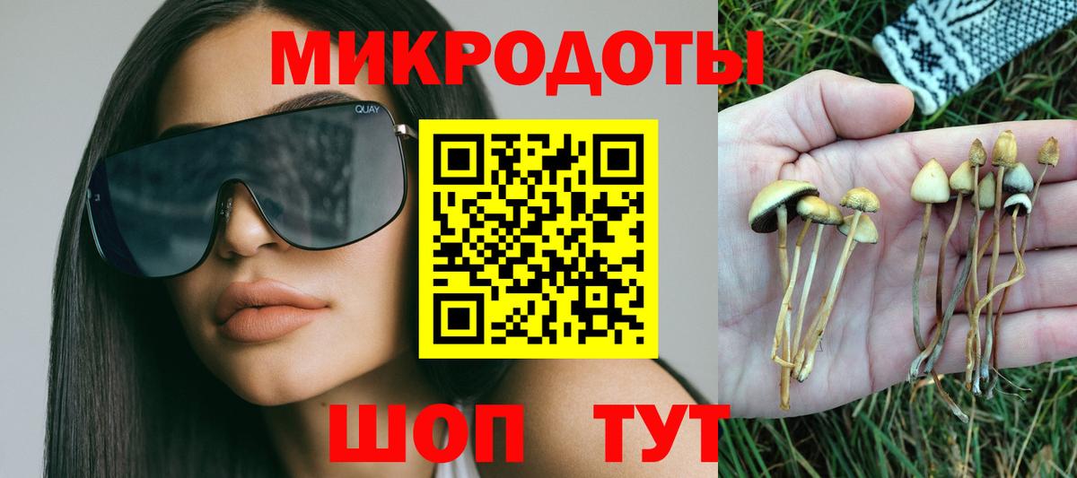 Галлюциногенные грибы MAGIC MUSHROOMS  цены наркотик  Ачхой-Мартан  Вход с VPN 